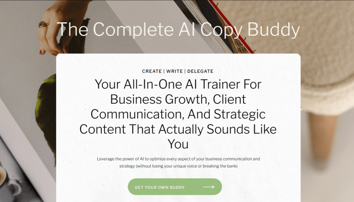 Kaili Meyer – The Complete AI Copy Buddy