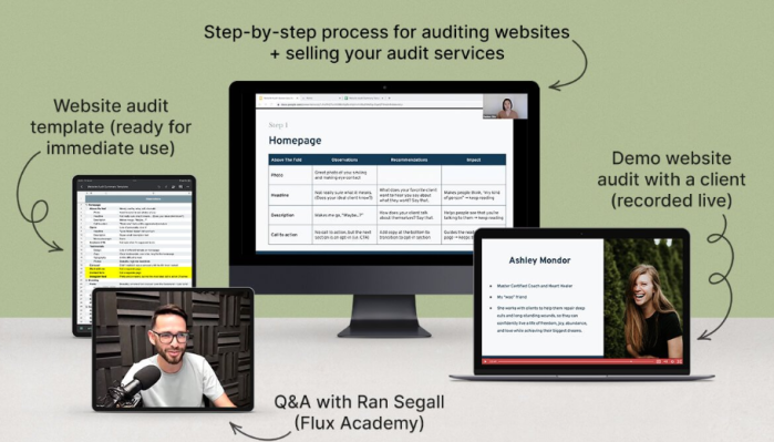 Danbee Shin – Website Audit Masterclass