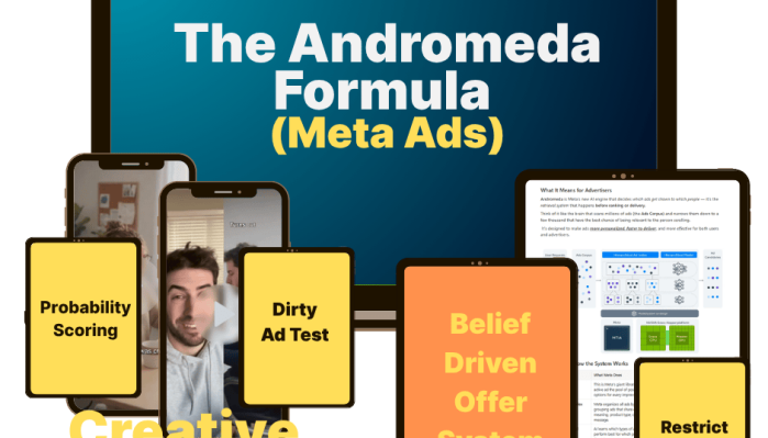 The Andromeda Formula - Desire Driven Facebook Ads