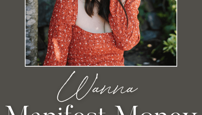 Shelly-Bullard-–-Manifest-Money-Masterclass-Course.png