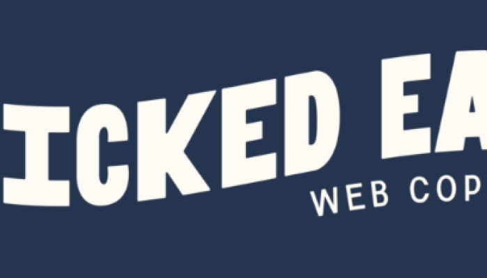 Sara Noel – Wicked Easy Web Copy Guide